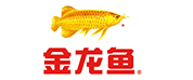 金龍魚(yú)